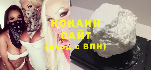 прущие грибы Коряжма
