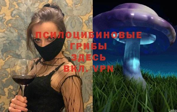 хмурый Краснотурьинск