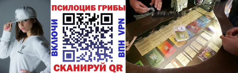 Купить закладки  Коряжма  Псилоцибиновые грибы Magic Shrooms 